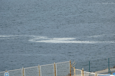 Çanakkale Boğazı'nda Müsilaj Devam Ediyor