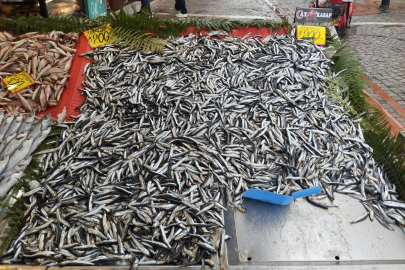 Kar ve Soğuk Hava Edirne’de Balık Fiyatını Uçurdu