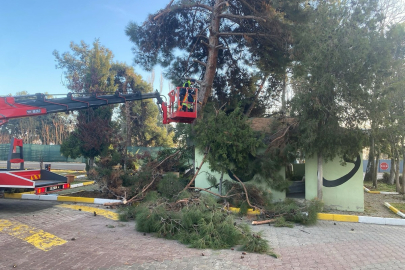 Marmaraereğlisi’nde Çevre Düzenleme Çalışmaları Devam Ediyor