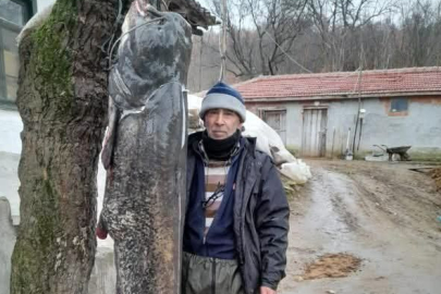 Meriç Nehri'nde 2.5 Metre Boyunda 'Yayın Balığı' Yakaladı