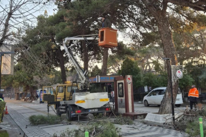 Kırklareli’nde Ağaç Budama Çalışmaları Başladı