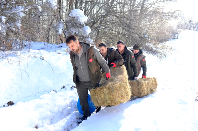 Kırklareli'nde Yıldız Dağları'ndaki Yaban Hayvanları İçin Doğaya Yem Bırakıldı