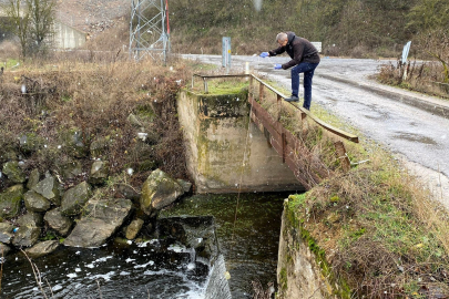 Yer Altı ve Yer Üstü Sularında Nitrat Kirliliği Analizleri