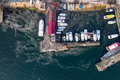 Marmara Denizi'nde Müsilaj Yeniden Görüldü