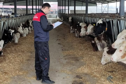 Kırklareli’nde Hayvancılık İşletmelerine Denetim