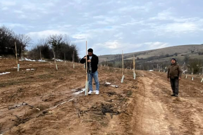 Kofçaz’da Sertifikalı Fidan ve Fide Desteği Başvuruları Denetleniyor