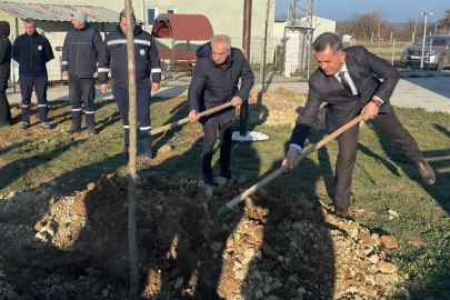 Başkan Özcan’ın 4. Dönemi Anısına Akça Ağacı Dikildi