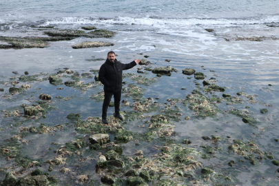 Marmara Denizi 10 Metre Çekildi, Kral Yolu Ortaya Çıktı