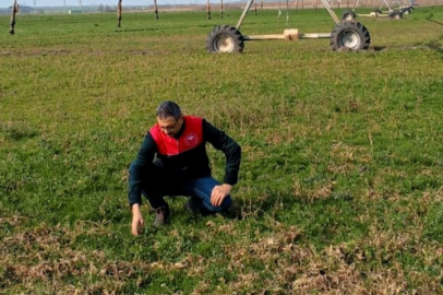 Lüleburgaz'da Fenolojik Gözlem Çalışmaları Yapıldı