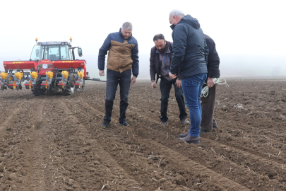 Edirne'de Farklı Ekim Metotlarıyla Ayçiçeğinin Kuraklığa Karşı Dayanıklılığı Test Ediliyor