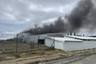 Edirne'de Fabrika Yangınına Müdahale Ediliyor