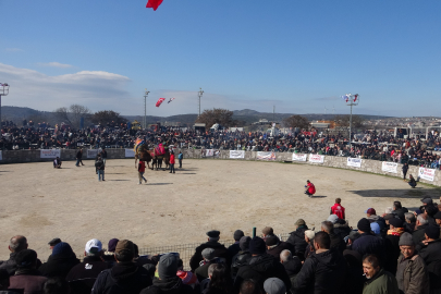 Çanakkale'de Deve Güreşi Festivali Düzenlendi