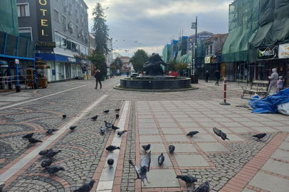 Edirne’de 2 Mart Pazar Günü Hava Durumu