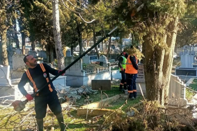 Kırklareli Belediyesi'nden Ağaç Budama Çalışması