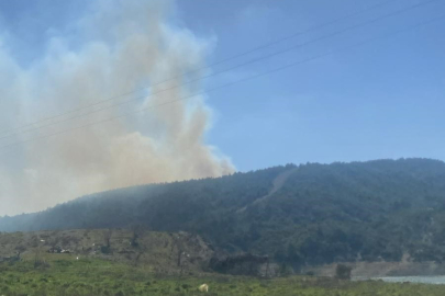 Çanakkale'de Orman Yangını