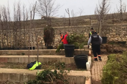 Kırklareli Belediyesi'nden İstasyon Caddesi'nde Yeni Peyzaj Uygulaması