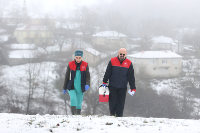 Kırklareli'nde Veteriner Hekimler Hayvanların Sağlığı İçin Karlı Yolları Aşıyor