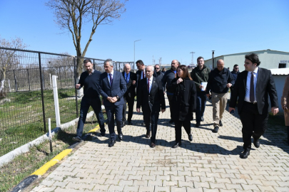 Keşan Belediyesi’nden Sokak Hayvanlarına Yeni Doğal Yaşam Alanı